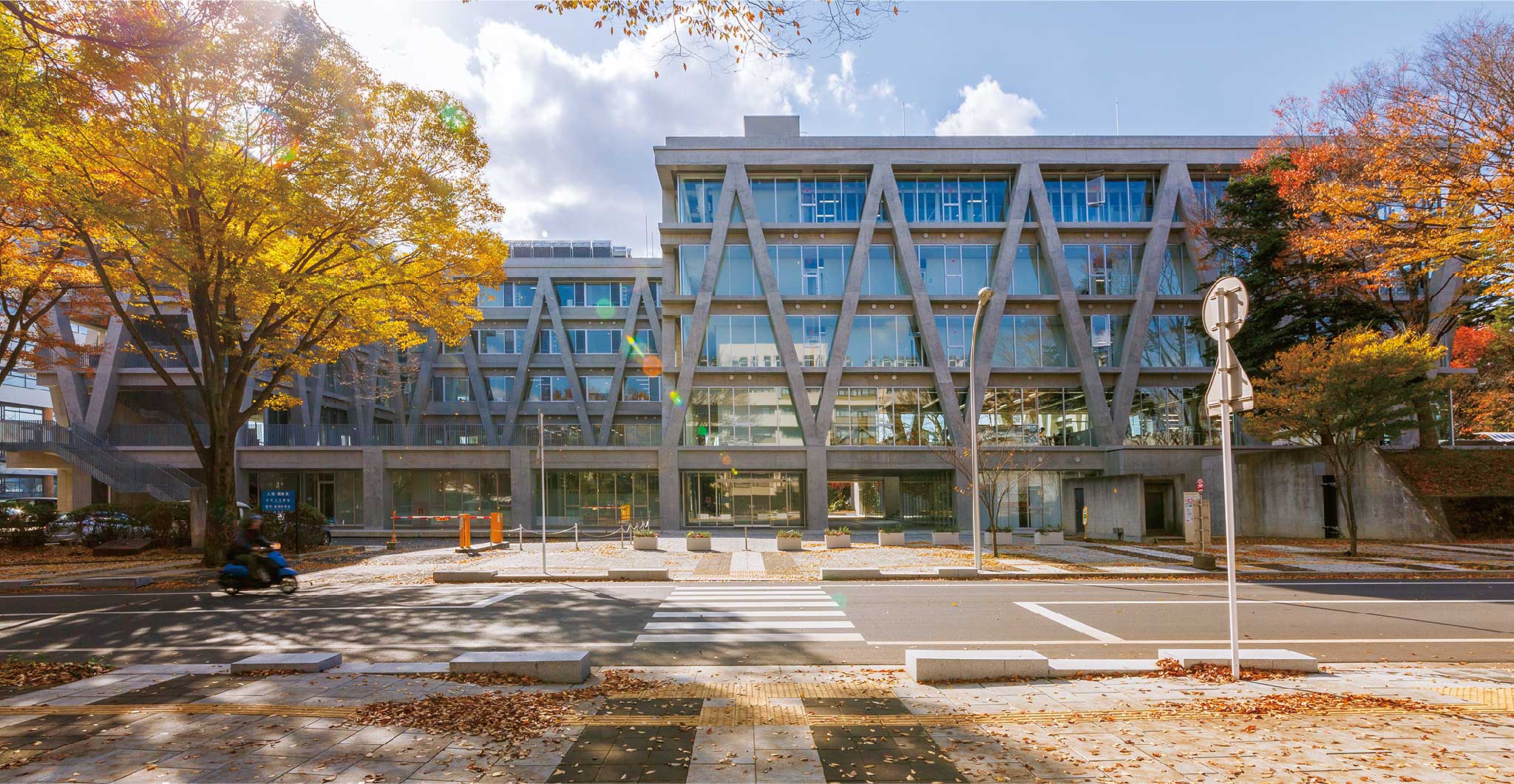 東北大学 都市 建築